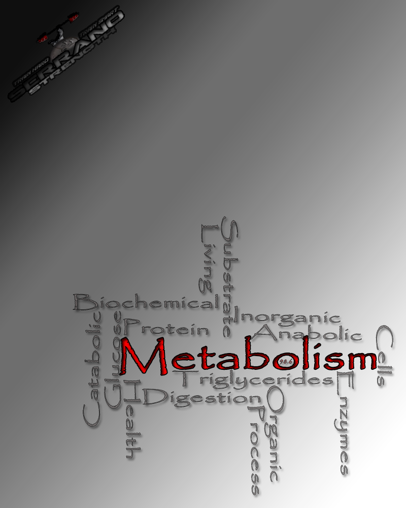 Your Metabolism Is Shot and You Don’t Even Know It